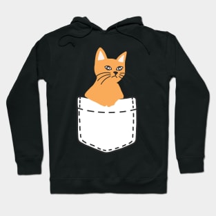 Orange Cat In A Pocket Hoodie